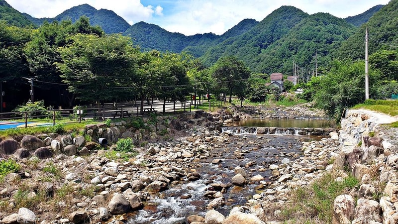 단양 남천 야영장 시설 사진 23
