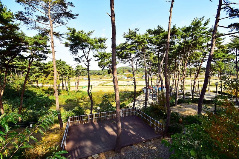 무창포솔원캠핑장 시설 사진 13