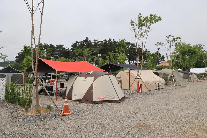 도담2캠핑장 시설 사진 17