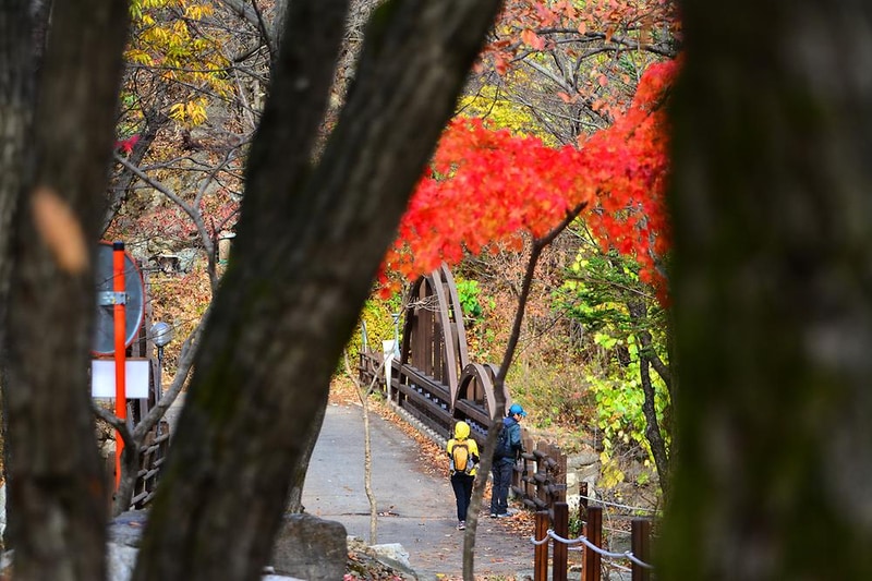 국립유명산자연휴양림(일반) 시설 사진 7