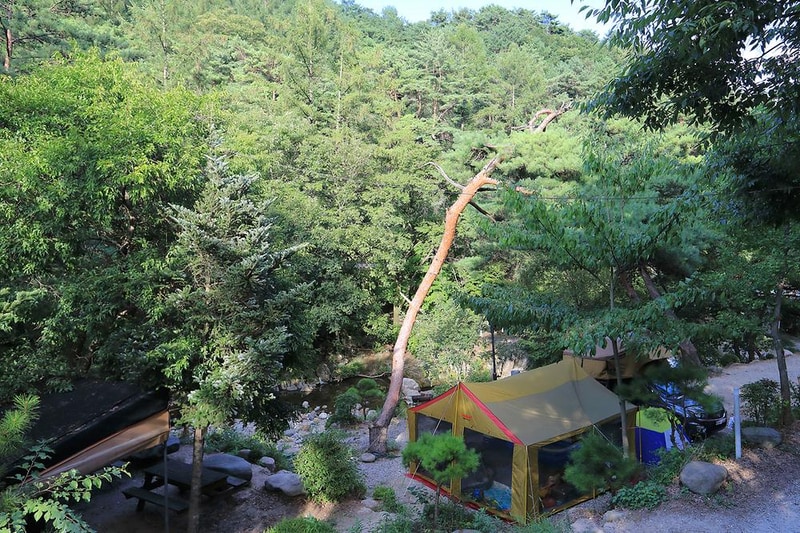 드래곤오토캠핑장 시설 사진 9