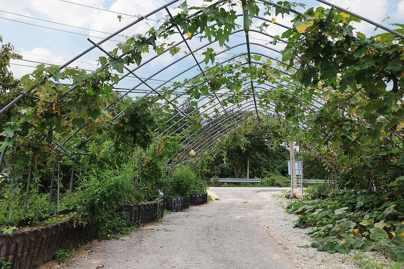 고성 탑 글램핑 농원 시설 사진 20