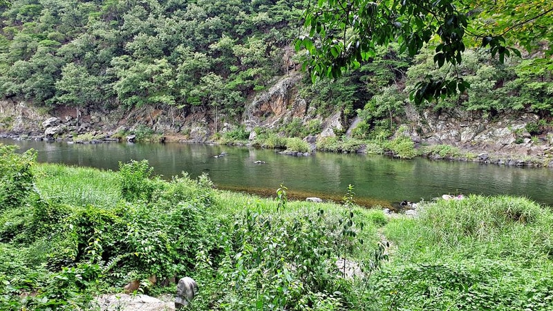 미산가족오토캠핑장 시설 사진 11