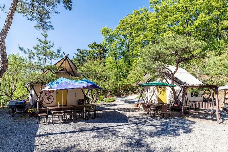 충주커피박물관 글램핑카라반펜션 시설 사진 9