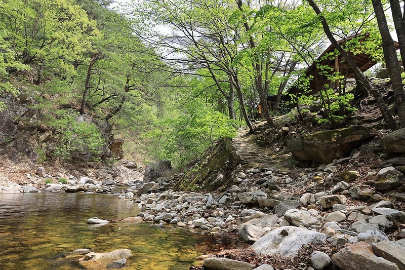 꿈꾸는 계곡 야영장 시설 사진 2