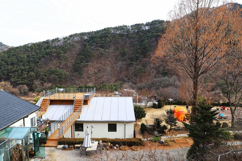 벳소캠프 시설 사진 10