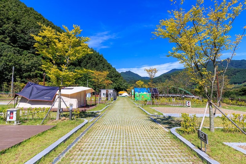 금천계곡 야영장 시설 사진 7