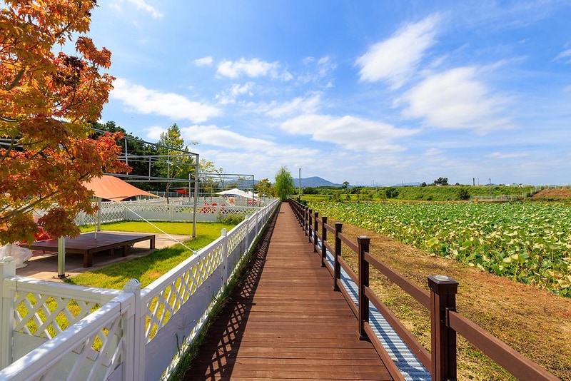 의성펫월드 오토캠핑장 시설 사진 16