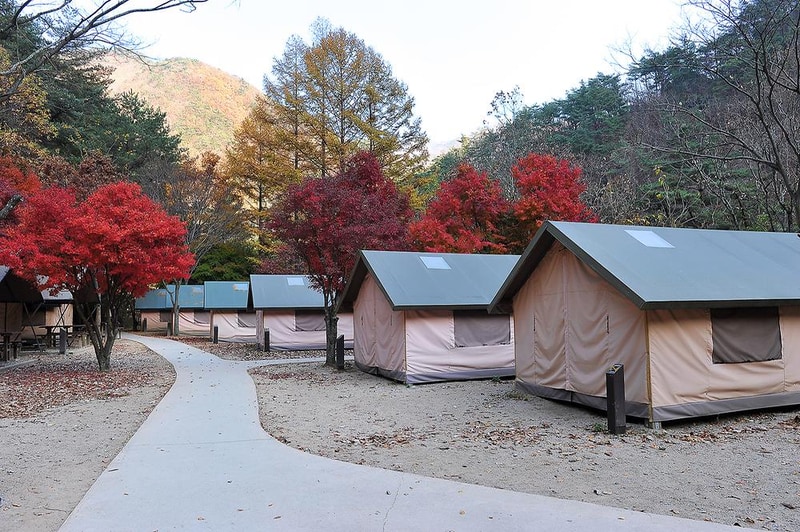 소백산국립공원 남천야영장 시설 사진 23