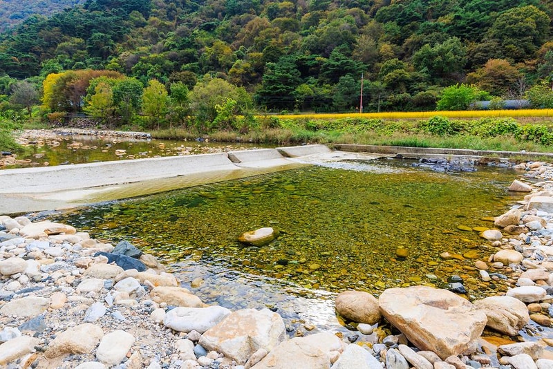 포레스트캐빈앤캠프 시설 사진 7