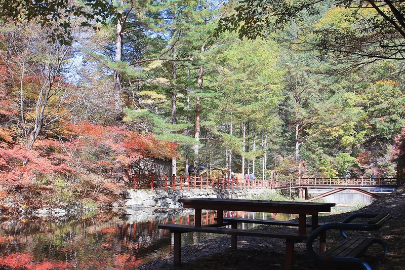 통고산 자연휴양림야영장 시설 사진 1