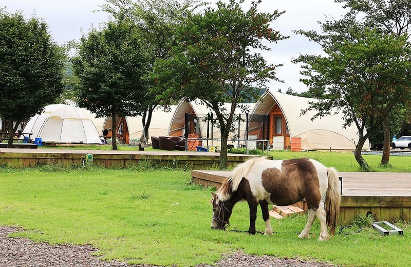 녹고뫼캠핑장 관광농원 시설 사진 32