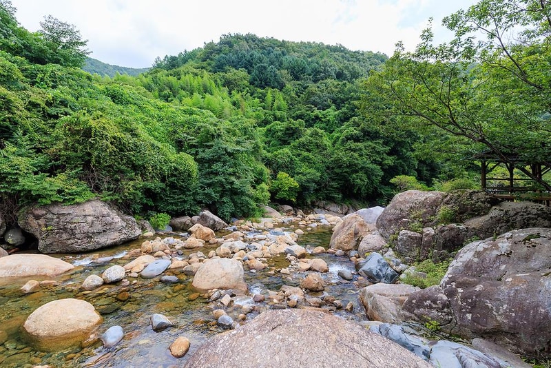 지리산365오토캠핑펜션 시설 사진 7