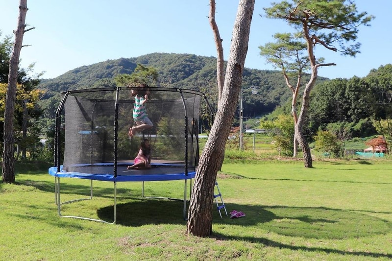 다온숲 시설 사진 16