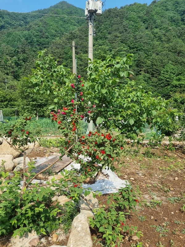 I(아이)캠핑 시설 사진 30