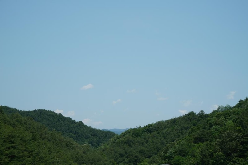 국립김천숲속야영장 시설 사진 8