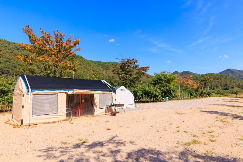 돌고래 오토 캠핑장 시설 사진 22