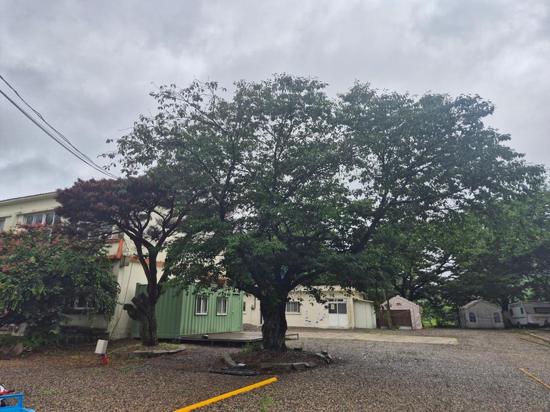 경주 쿠키야영장 시설 사진 2