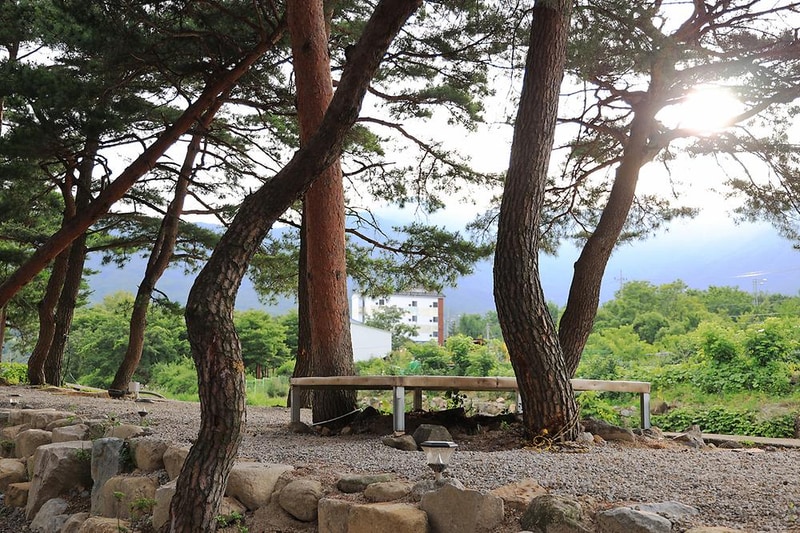 울산 힐링캠프 시설 사진 5