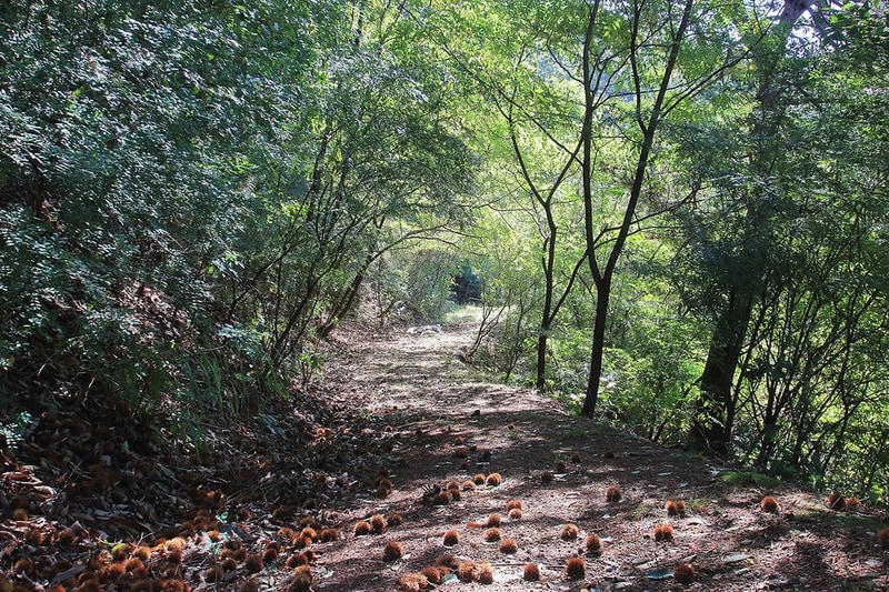 힐사이드 시설 사진 12