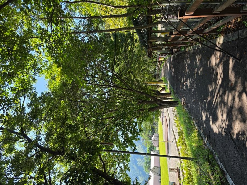 방산면 송현리 캠핑장 시설 사진 34