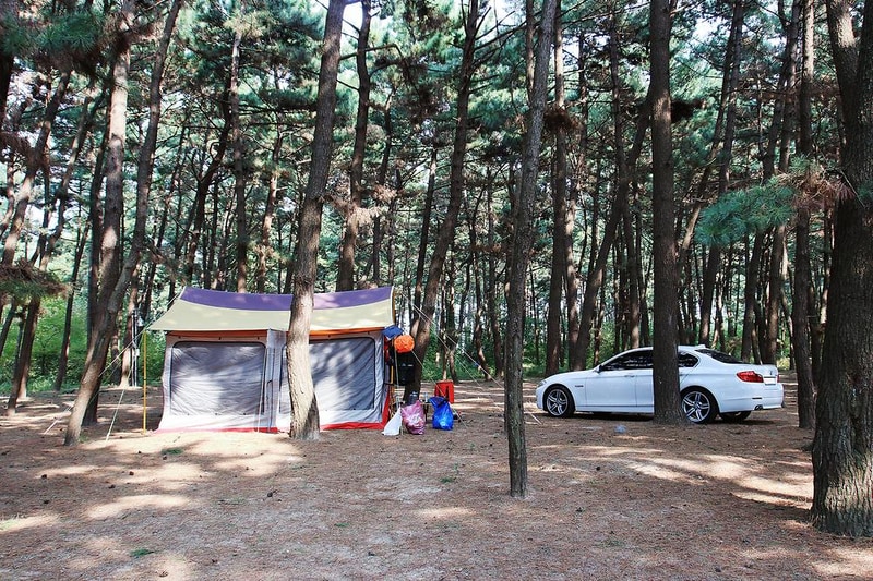 솔내음 야영장 시설 사진 3