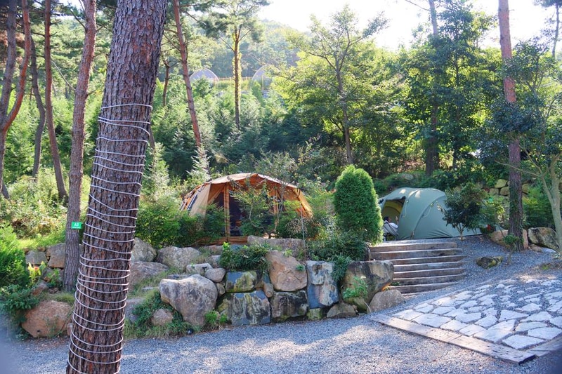 (주)러블레싱(LOVEBLEESING INC) 시설 사진 7