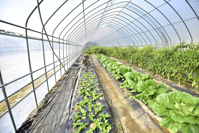 솔바람캠핑장 시설 사진 5