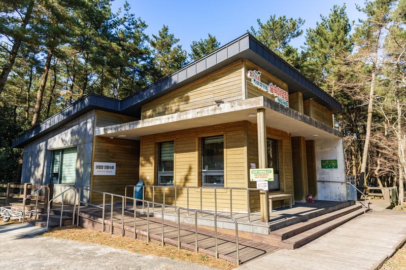 붉은오름 자연휴양림 숲속 야영장 시설 사진 13