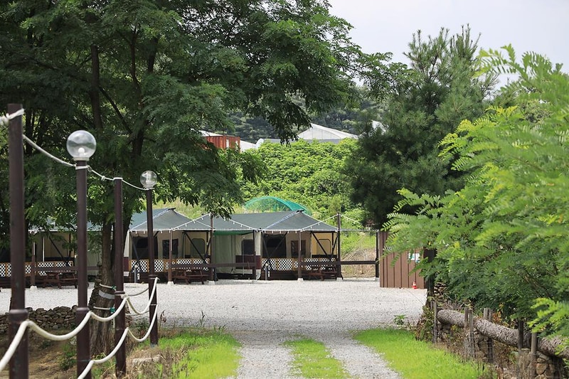 포레스트 캠핑장 시설 사진 9