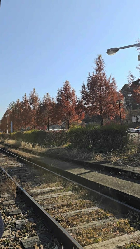 가평카라반캠핑농원 대표 사진