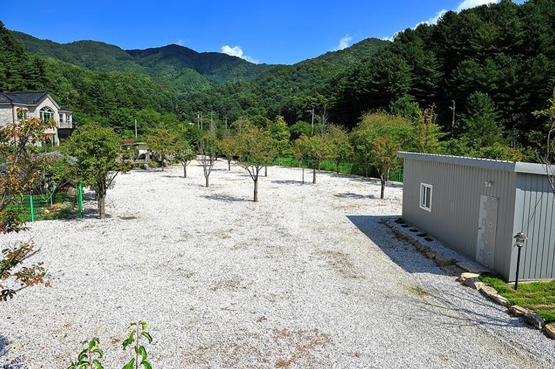삼정오토캠핑장 대표 사진
