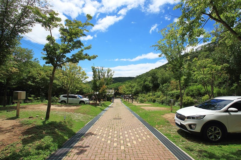 팔공산국립공원 도학 야영장 시설 사진 13