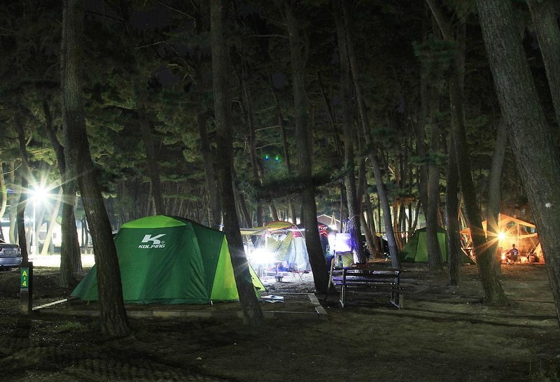 몽산포 자동차 야영장 시설 사진 2