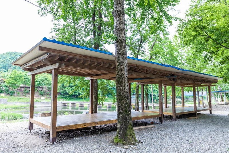 금관숲캠핑장 시설 사진 1