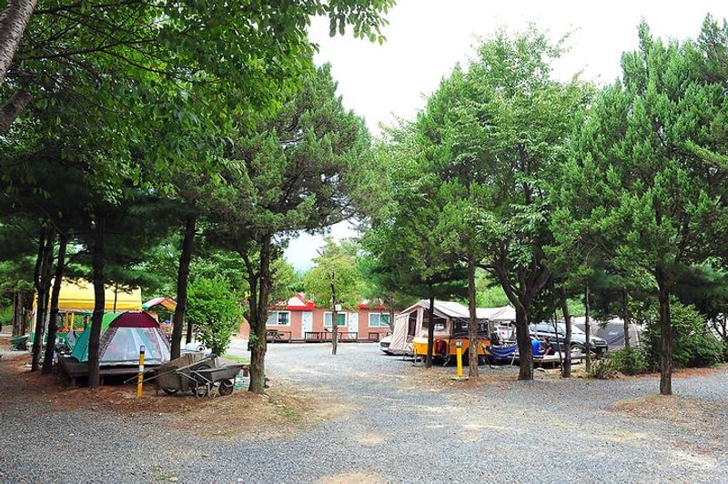 핫도그342애견글램핑카라반 주식회사 대표 사진