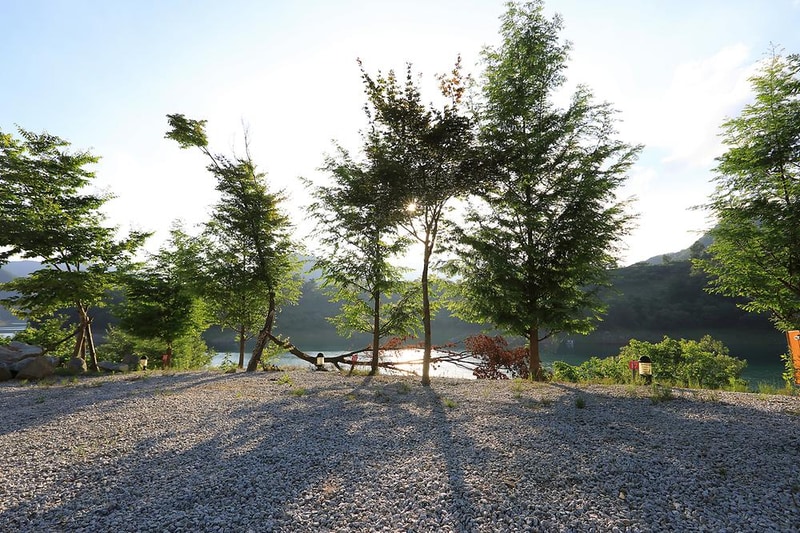 충주카누캠핑장 시설 사진 16