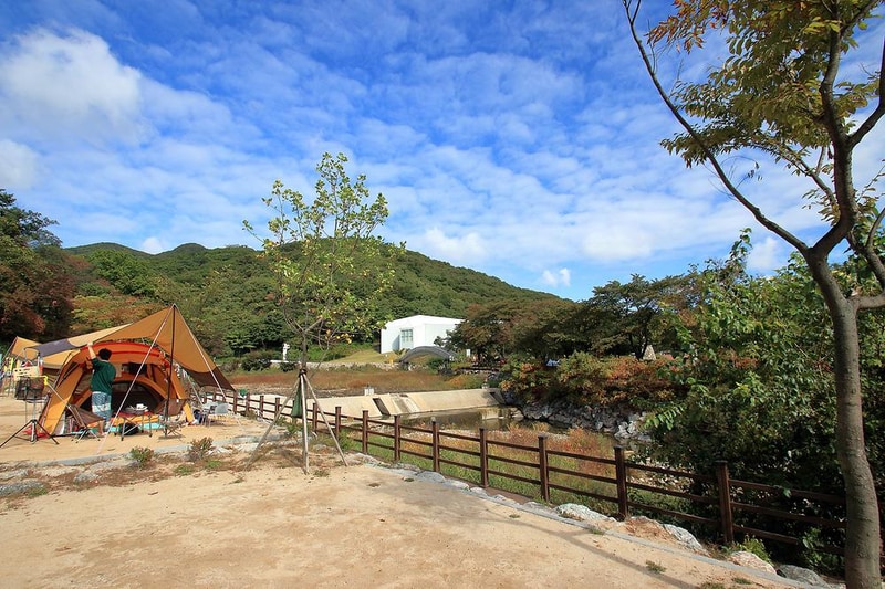 양주시 미술관옆 캠핑장 시설 사진 5