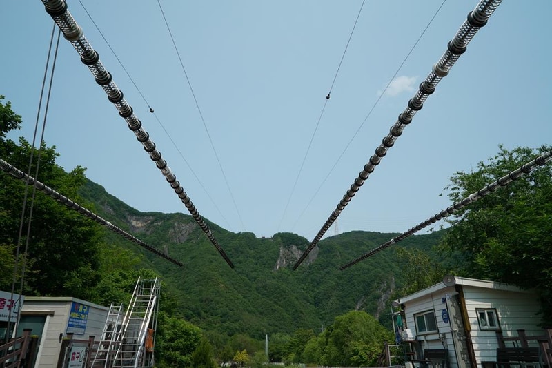 정선군생태체험학습장야영장 펫 동반 캠핑장 시설 사진 24