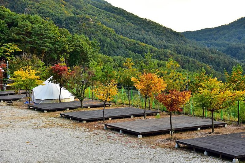 예손농원캠핑장 대표 사진