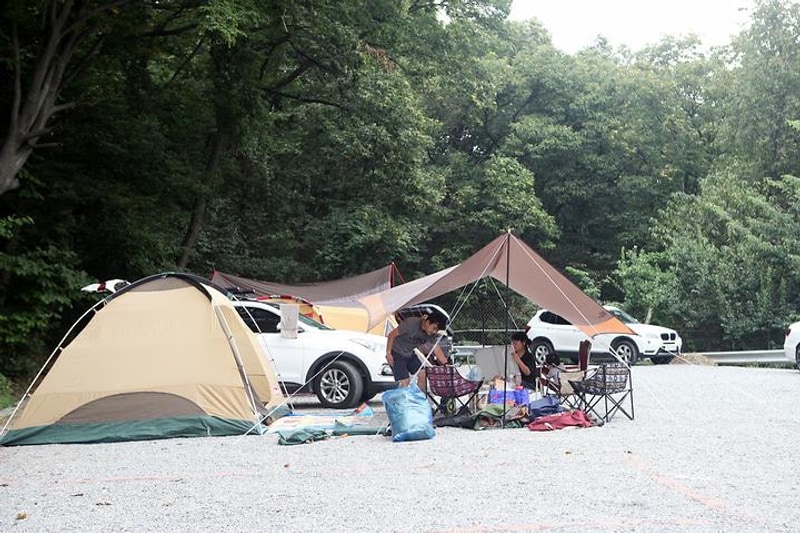 짱아 야영장 대표 사진