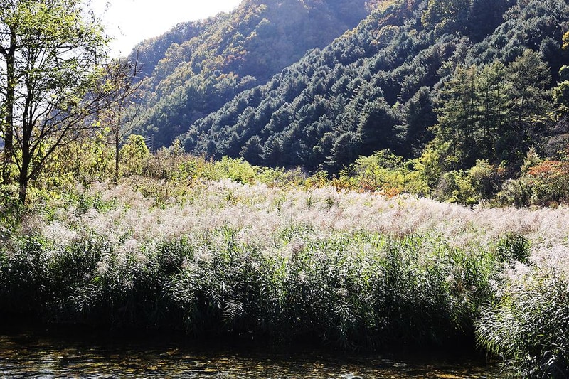 캠프99 시설 사진 2