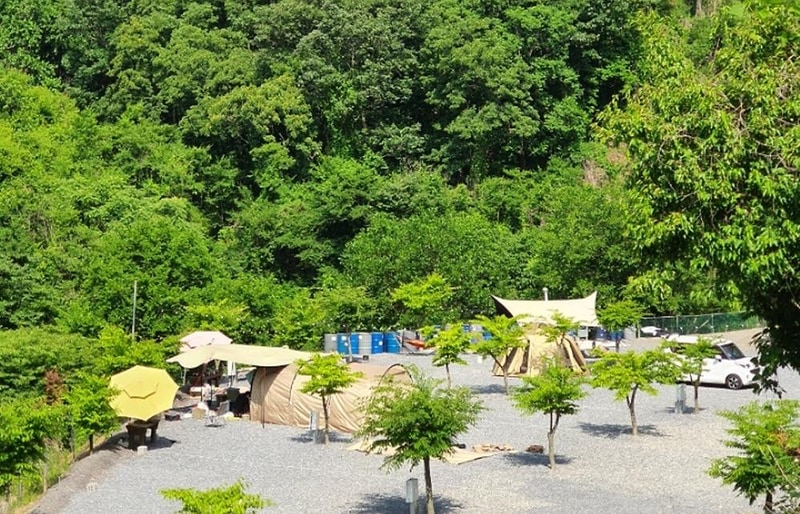 두더지CAMP 시설 사진 8