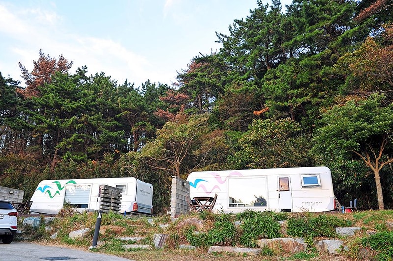 트로피칼드림야영장 시설 사진 8