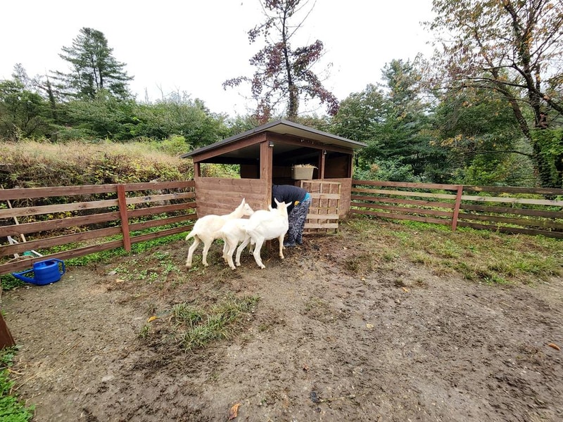 달빛정원글램핑&카라반 시설 사진 9