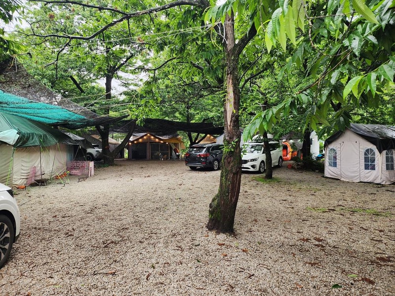 약사밤나무집 캠핑장 시설 사진 9