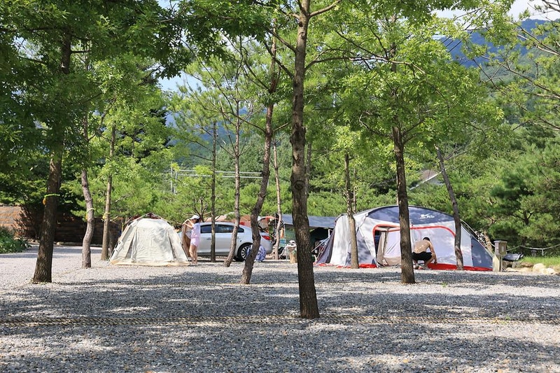 청우재 캠핑장 시설 사진 13