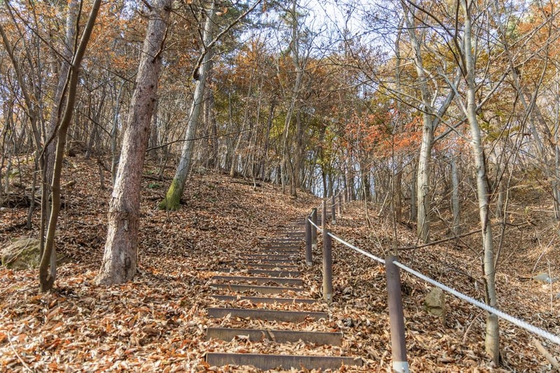전월산 국민여가캠핑장 시설 사진 61
