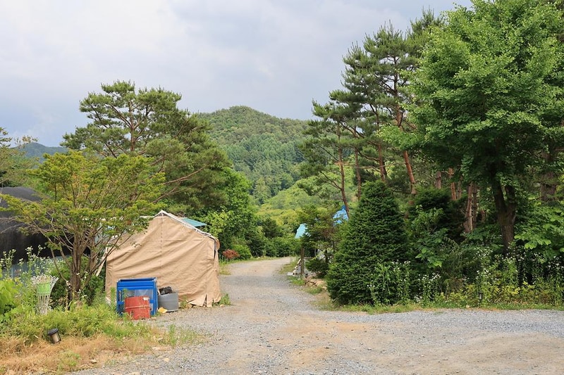 힐링인더 포레스트 시설 사진 17