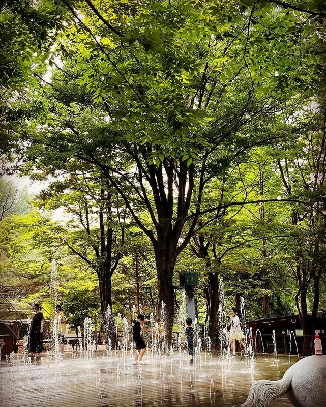 반달곰이 살던 숲 시설 사진 6